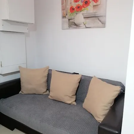 Studio Old Center Braşov Extérieur photo