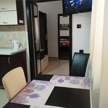 Studio Old Center Braşov Extérieur photo